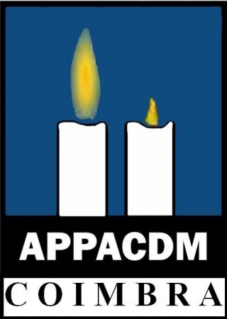 Artes Plásticas na APPACDM